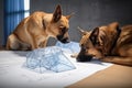 dog and cat architects drawing blueprints for angular futuristic building