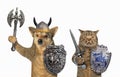 Dog and cat are vikings 2 Royalty Free Stock Photo