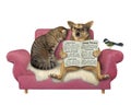 Dog with cat and bird on pink couch Royalty Free Stock Photo
