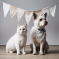 Dog and Cat on a Blank Canvas