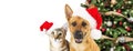 Dog and Cat Christmas Web Banner Royalty Free Stock Photo