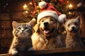 dog and cat dressed in Santa outfits gathered around a beautifully Christmas tree Royalty Free Stock Photo