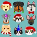 Dog and cat face set in Christmas fashion Royalty Free Stock Photo