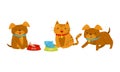 Dog and Cat Feeding Together and Playing Vector Set Royalty Free Stock Photo