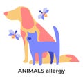 Dog and cat fur, bee stings allergy, animal allergens