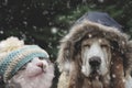 Dog and cat hat in snowfall Royalty Free Stock Photo