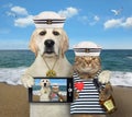 Dog with cat have fun together 2 Royalty Free Stock Photo