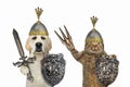 Dog with cat are knights 3 Royalty Free Stock Photo