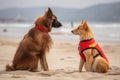 dog and cat lifeguards chatting on the beach before their shift