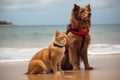 dog and cat lifeguards patrolling the beach together, keeping watch over their human charges