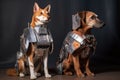 dog and cat model in futuristic robot costume, with metallic accents Royalty Free Stock Photo