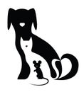 Dog cat and mouse Royalty Free Stock Photo