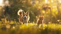 A Dog and Cat Outdoors Together.AI generated image Royalty Free Stock Photo