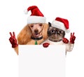 Dog and cat with peace fingers in red Christmas hats Royalty Free Stock Photo