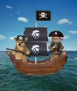Dog and cat pirate on the ship Royalty Free Stock Photo