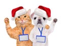 Dog and cat in red Christmas hat wear blank white badge mockup . Royalty Free Stock Photo