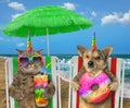 Dog and cat resting on the beach 2 Royalty Free Stock Photo