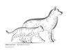 Dog and cat silhouette smartphone. Veterinary care health treatment. Clinic online doctor vet center analysis. Logo