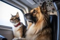 dog and cat sitting in cockpit of passenger plane, keeping watch over the flight