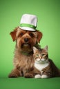A dog and cat sitting next to each other with a hat on, AI Royalty Free Stock Photo