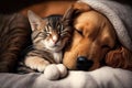 dog and cat sleeping together kitten and puppy illustration generative ai