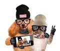 Dog with cat taking a selfie together with a smartphone Royalty Free Stock Photo