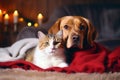 Dog cat together friends. Generate Ai Royalty Free Stock Photo