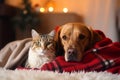 Dog cat together at home. Generate Ai Royalty Free Stock Photo