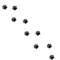 Dog or cat track on white snow. footprints of a pet