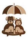 Dog and cat under umbrella