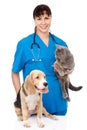 Dog and cat at the veterinary checkup Royalty Free Stock Photo