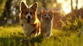 A Dog and Cat Outdoors.AI generated image Royalty Free Stock Photo
