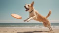 A dog catching a frisbee mid-air at a dog-friendly beach, capturing the playful energy of a summer day.