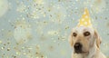 DOG CELEBRATING A BIRTHDAY PARTY, WEARING A YELLOW POLKA DOT HAT. ISOLATED AGAINST PASTEL BLUE BACKGROUND WITH CONFETTI FALLING