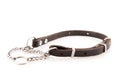 Dog chain Royalty Free Stock Photo