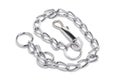 Dog Chain Collar Royalty Free Stock Photo