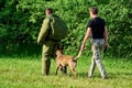 The dog is chasing the man. Royalty Free Stock Photo