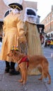 dog with a cheerful hat on the master s leash with a masquerade costume in Venice during Carnival Royalty Free Stock Photo