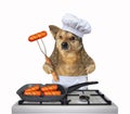 Dog chef cooks sausages Royalty Free Stock Photo