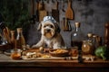 dog chef, mixing up fresh and creative mixture of ingredients for new recipe