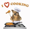 Dog chef cooks a chicken 2 Royalty Free Stock Photo