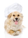 Dog in chefs hat looking at camera. Royalty Free Stock Photo