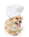 Dog in chef's hat looking at camera. on white backgroun Royalty Free Stock Photo