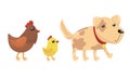 Dog, Chicken and Hen as Domestic and Farm Animal Vector Set Royalty Free Stock Photo