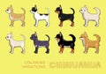 Dog Chihuahua Coloring Variations Vector Illustration