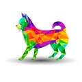 Dog chihuahua vector cartoon illustration puppy