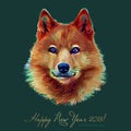 Dog, Chinese zodiac symbol of 2018 year, isolated on background. Asian Lunar Year. Year of the yellow earth dog, Happy