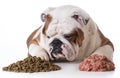 Dog choosing kibble Royalty Free Stock Photo