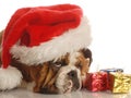 Dog with christmas presents Royalty Free Stock Photo