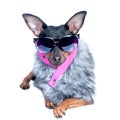 Dog in the clothes of a skier, a fur jacket and glasses.